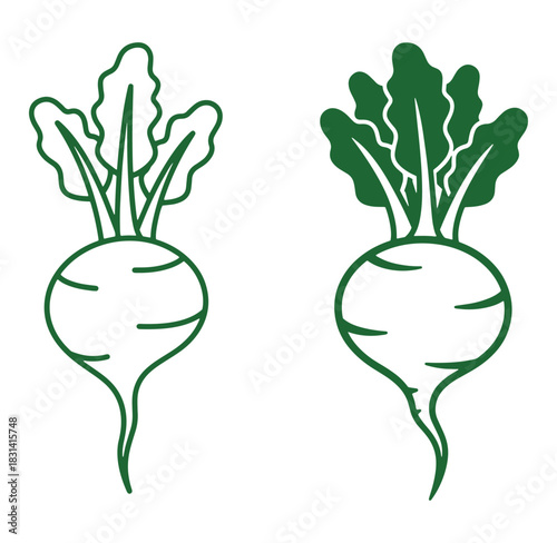 Simple and stylish vector illustration of two green beetroot vegetables on white background