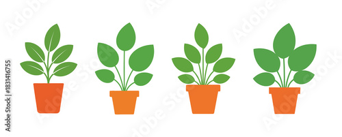 Simple vector illustration of a set of four green leafy plants in terracotta pots, isolated on white background.