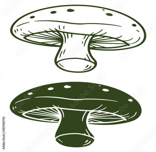 Two detailed mushroom illustrations depicting different styles for design and decoration projects