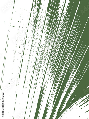 green grass background