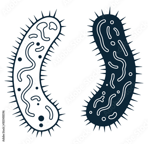 Two stylized bacteria or microorganism illustrations in a simple and modern vector design