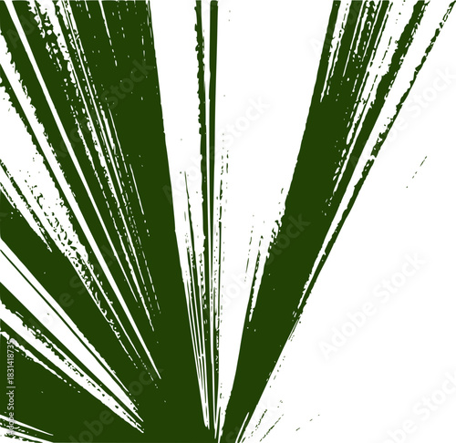 palm tree leaves
