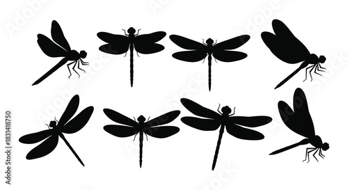 A collection of black silhouette dragonfly illustrations in various poses