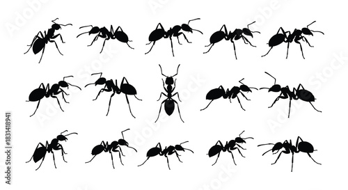 A collection of black silhouette ants shown in various walking poses