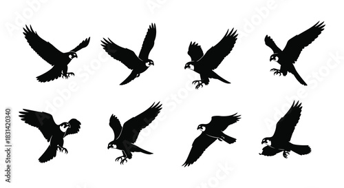 A collection of black silhouettes depicting birds in dynamic flight positions