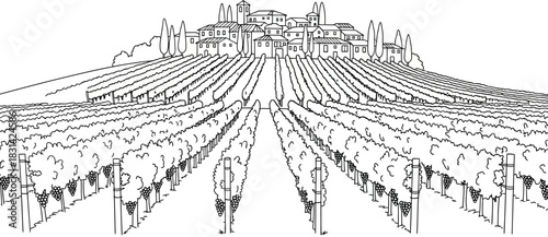A detailed sketch of an italian hillside vineyard landscape with a town