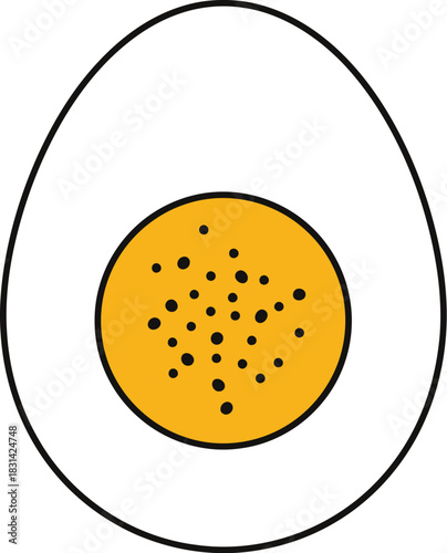 Simple illustration of a halved hard boiled egg with a visible yolk