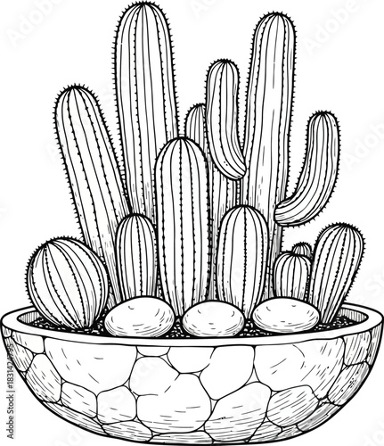 A vintage style illustration of a cactus in a patterned pot