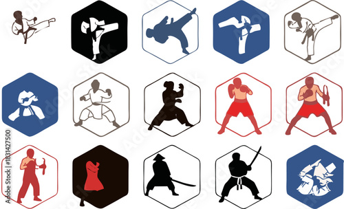 Martial art icon