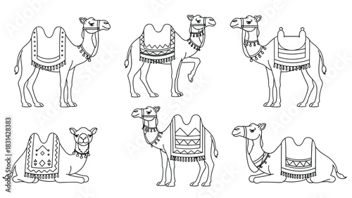 Six cartoon camels with colorful saddles on a white background