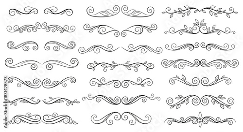 Elegant floral flourish elements and decorative dividers enhance designs with classic beauty and timeless appeal for invitations, stationery, and branding projects.