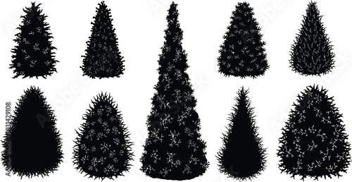 Silhouettes of various coniferous trees in a black and white style