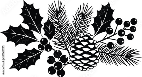 Black and white botanical illustration featuring holly pine and a pinecone