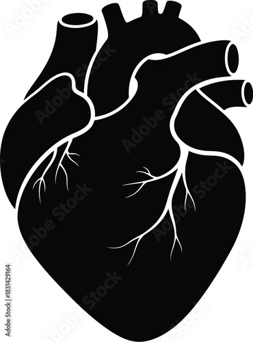 An anatomical illustration of a human heart in a stark black silhouette