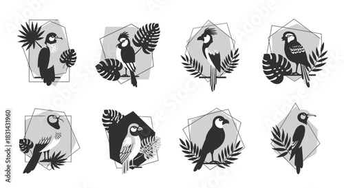 Charming collection of stylized birds nestled with tropical foliage within geometric frames for elegant design projects