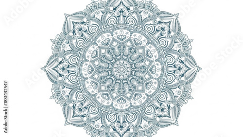 Intricate mandala design with detailed floral and geometric patterns on a white background creating a sense of peace and spiritual harmony for meditation