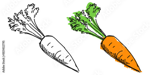 Grunge Sketch Handdrawn Carrot Vector Ideal for raw food, cooking, and expressive healthy eating graphics with a gritty texture. Symbolizes natural produce, nutrition, and raw sketch style.