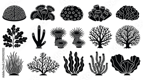 Seaweed coral vector set marine plants ocean underwater life