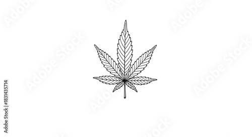Detailed black and white illustration of a seven-lobed cannabis sativa leaf with prominent veins on a clean white background.
