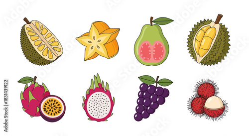 Colorful assortment of exotic fruits displayed on white background vector art