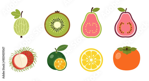 Colorful assortment of fresh fruit illustrations isolated on white background