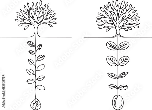 Tree and sprout line art vector illustration