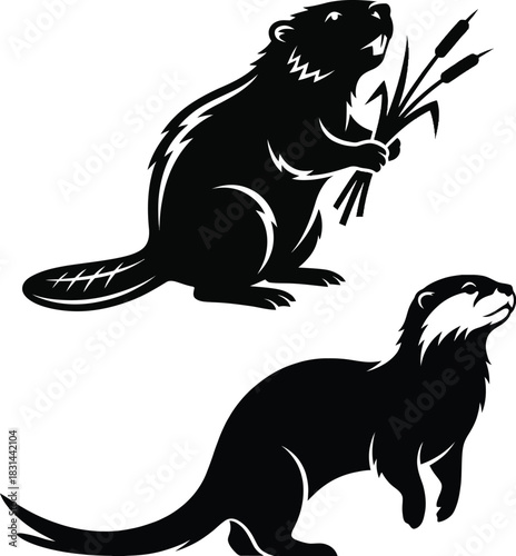Beaver Silhouette Graphic Illustration Wildlife Animals Vector Image