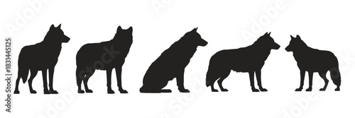 Five black silhouette wolves standing and sitting in various poses, isolated on white background, representing wild nature and canine family dynamics.