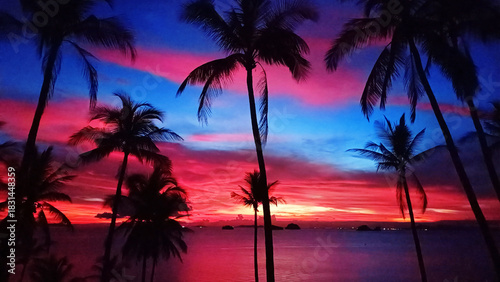 Sea sunset, tropical island beach sunrise, beautiful ocean landscape, colorful red pink purple sky clouds over water, coconut palm trees silhouette, summer holidays, vacation, travel