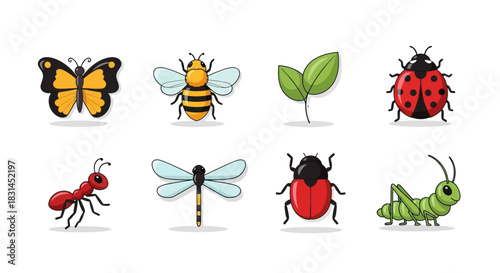 Colorful insects collection butterfly bee ladybug ant dragonfly vector