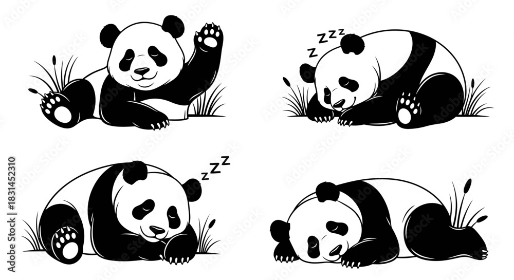 Obraz premium Sleeping panda bears in various poses
