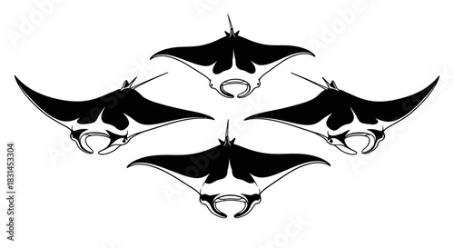 Black manta rays symmetrical arrangement with transparent background