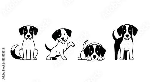 Black and white dog poses with transparent background