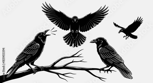 Crows perched on branch with flying birds