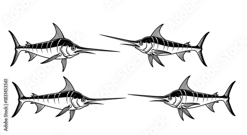 Marlin fish set with transparent background