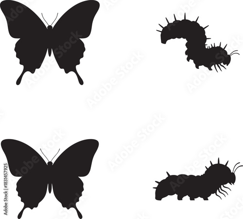 Butterfly and caterpillar silhouettes illustrating metamorphosis on a clean white background