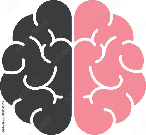 Creative and logical thinking concept represented by a split human brain icon with two hemispheres