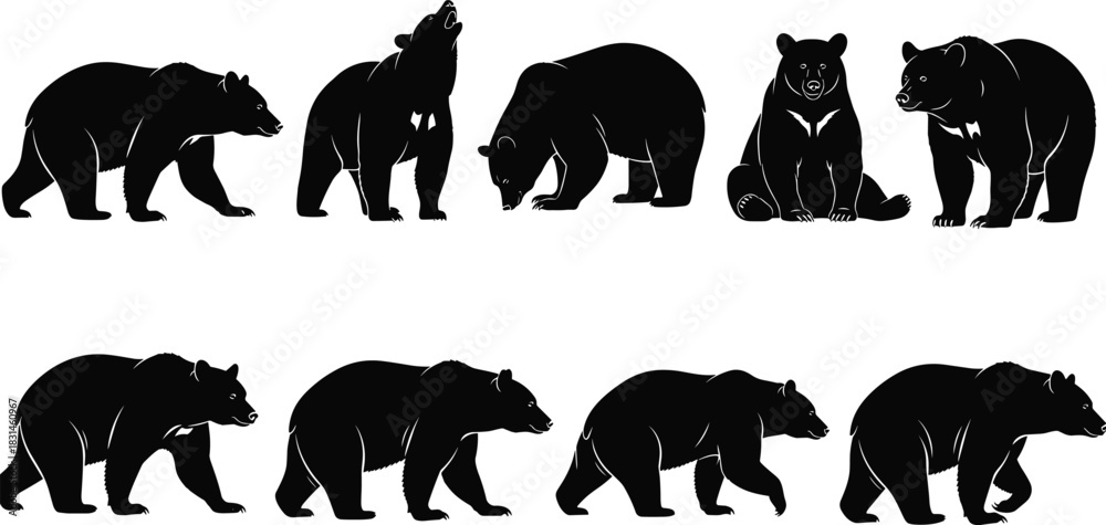 Obraz premium Collection of Bear Silhouette Vectors in Different Poses, Black Wildlife Mammal Set, Walking, Standing, Roaring, and Sitting Bear Icons, Detailed Animal Graphics.