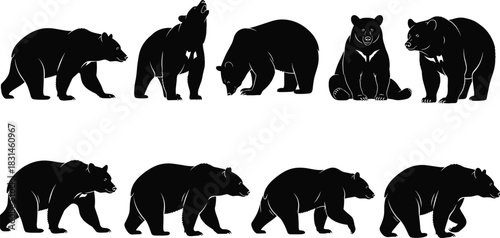 Collection of Bear Silhouette Vectors in Different Poses, Black Wildlife Mammal Set, Walking, Standing, Roaring, and Sitting Bear Icons, Detailed Animal Graphics.