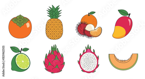 Colorful tropical fruits isolated vector illustrations for diverse design