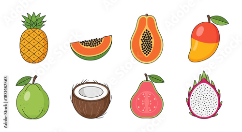 Colorful tropical fruits pineapple mango papaya coconut vector illustration