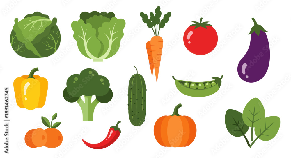 Fototapeta premium Colorful vector illustration of various fresh vegetables for design