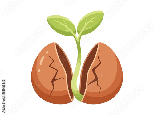 Illustration of a new plant sprout emerging from a cracked seed, symbolizing growth and new beginnings in a clean graphic style