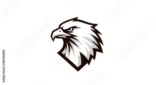 Bold eagle head vector illustration against white background for design