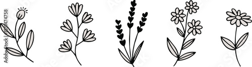 flower botanical illustration collection black outline floral panels