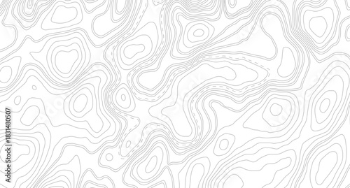 Abstract topographic contours map background. Topography lines and circles background.