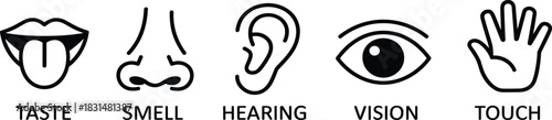 Five senses icon set, stylized black line symbols for sensory perception, education, health, and human interaction themes