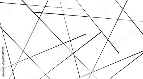 Metal grid isolated on the white background. nervures de Feuillet mores, Abstract lines in black and white tone of many squares and rectangle.