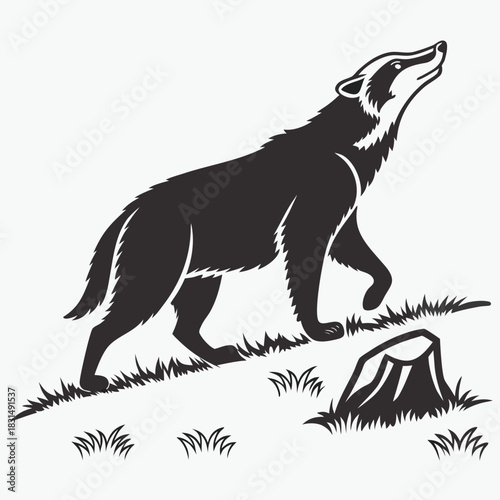 Black silhouette of a badger walking in grass with a tree stump