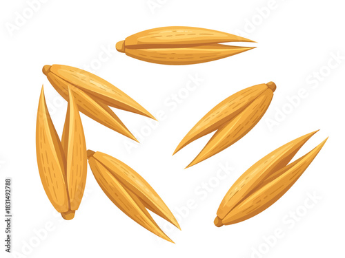 Detailed vector illustrations of golden-brown oat grains with split husks are scattered across a white background, showcasing their textured surfaces and natural, elongated shapes